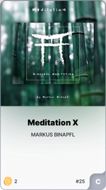 Meditation X